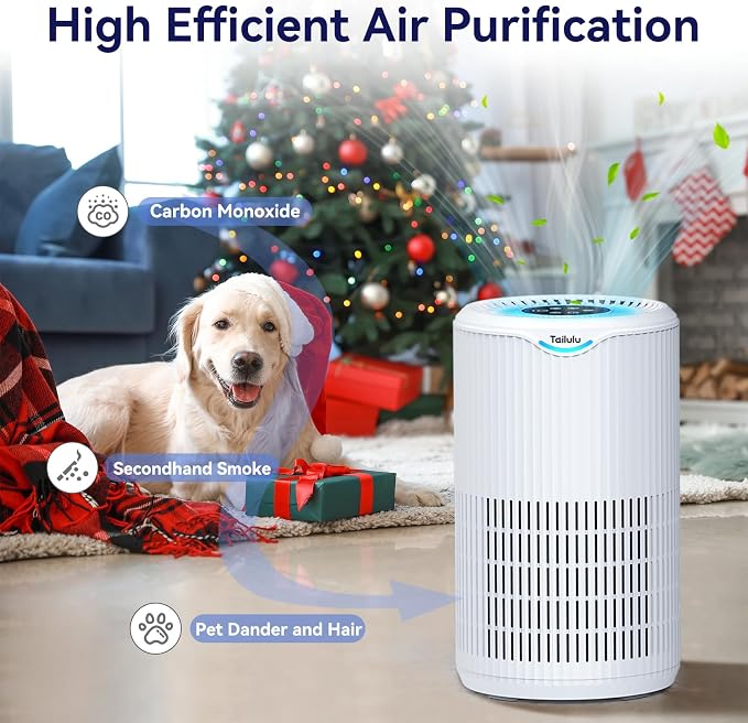 Air Purifiers for Home Large Room Up to 1680 Ft², Tailulu H13 HEPA Air Filter - Image 7