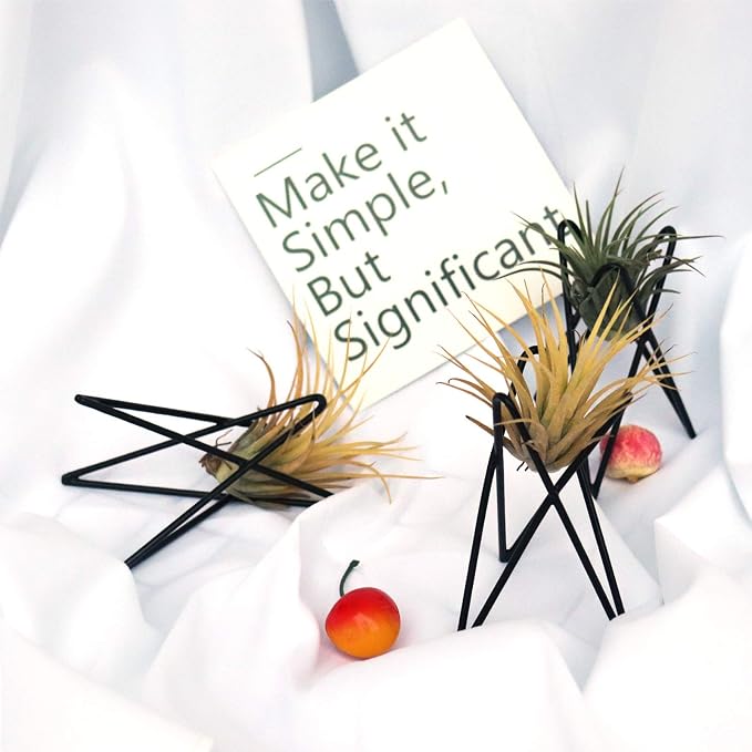Pack of 4 Air Plant Holder Tillandsia Base, Modern Geometric Metal Air Plant - Image 5