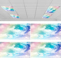 Hortsun 4 Pcs 4 x 2 Feet Fluorescent Light Covers by Hortsun