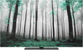 Thanksgiving Green Maple Trees Indoor TV Cover, Elastic TV Screen Protector by Unknown