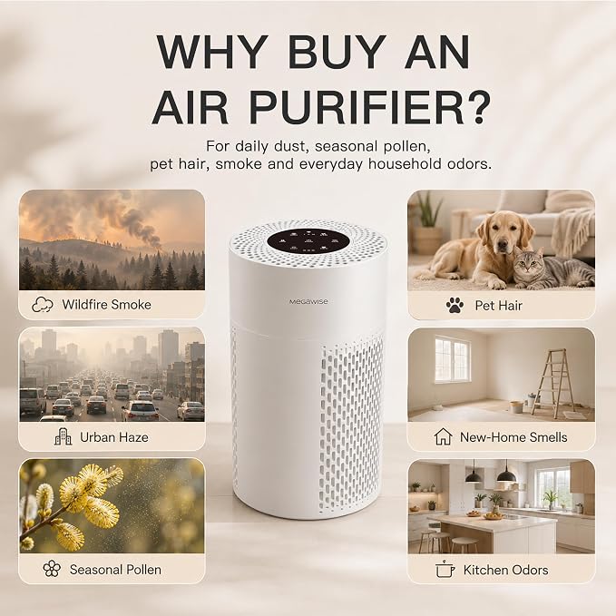 MEGAWISE Quiet Desktop Air Purifier, Featuring A Three-Stage Filtration System - Image 5