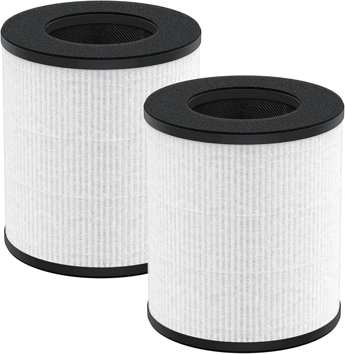 2 Pack True HEPA Replacement Filter Compatible by GoKBNY