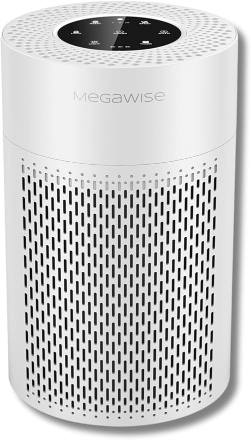 MEGAWISE Updated Version Air Purifier by MEGAWISE