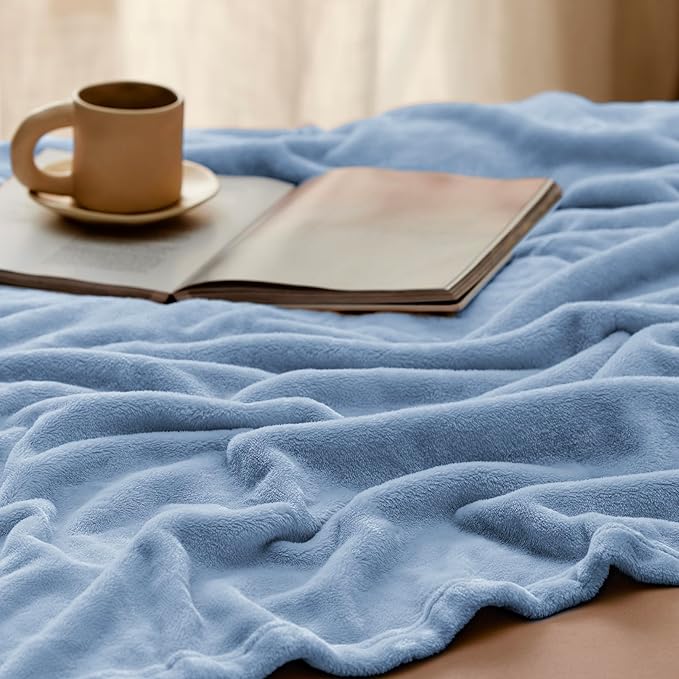 Bedsure GentleSoft Fleece Bed Blankets Queen Size Light Blue - Soft Lightweight Plush Fuzzy Cozy Luxury Blanket Microfiber, 90x90 inches