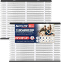 2 Pack 213 Replacement Filter Compatible by BETTFILTER