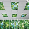 QOUBAI 6 Pcs Fluorescent Light Covers, 4 x 2 Ft Magnetic Light Filters Spring by QOUBAI
