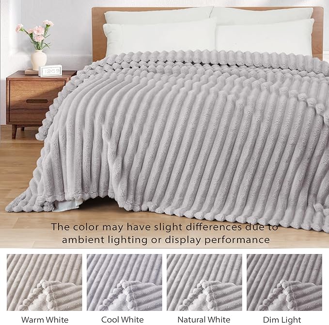 Exclusivo Mezcla Twin Size Flannel Fleece Blanket, Super Soft Striped Jacquard Bed Blanket, Lightweight Fuzzy Cozy for All Seasons, 60x80 Inches, Light Grey