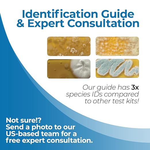 Mold Screening & Indoor Air Quality Test - Image 5