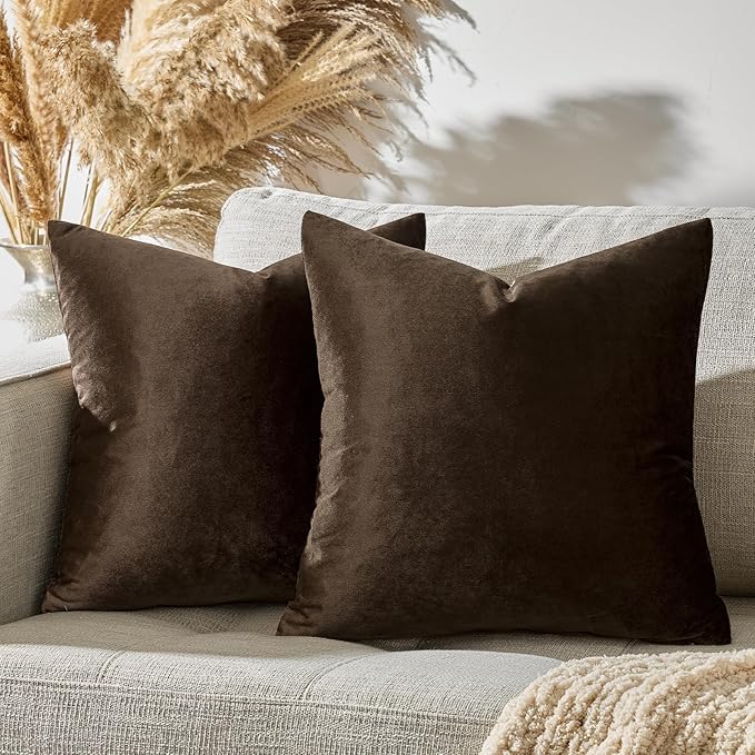 GIGIZAZA Brown Velvet Pillow Covers 20x20,Square Solid Throw Pillow Covers Decorative Modern Pillows Big Vintage Cases for Couch Pack of 2