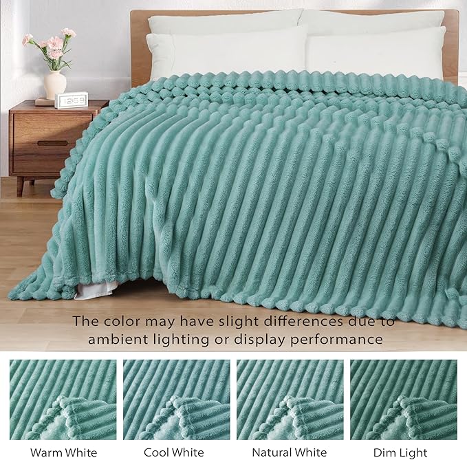 Exclusivo Mezcla Queen Size Flannel Fleece Blanket, Super Soft Striped Jacquard Bed Blanket, Lightweight Fuzzy Cozy for All Seasons, 90x90 Inches, Celadon