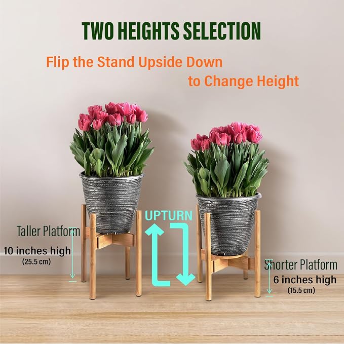 Plant Stand Indoor - Image 6