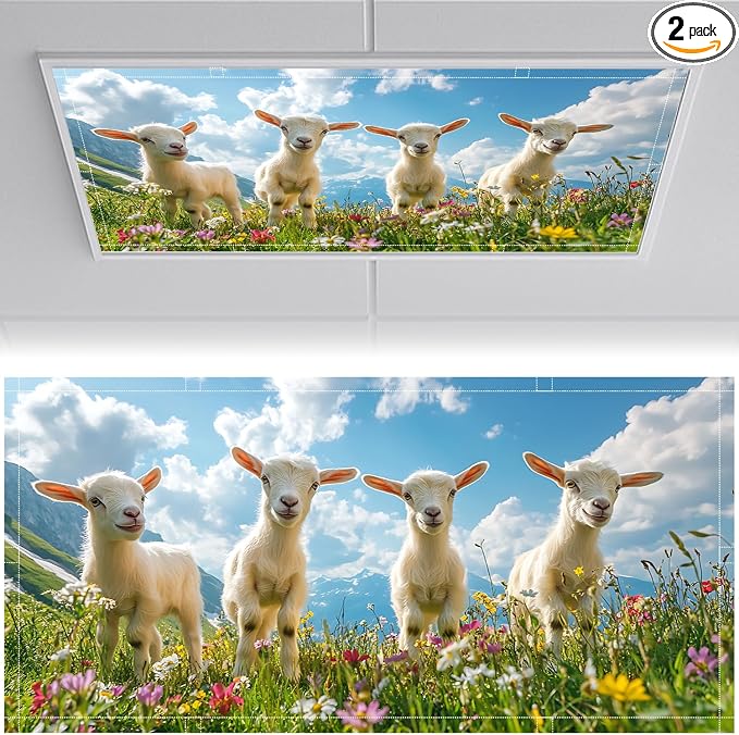 2 Pack Fluorescent Light Covers 4x2 ft Magnetic Light Covers by seewan