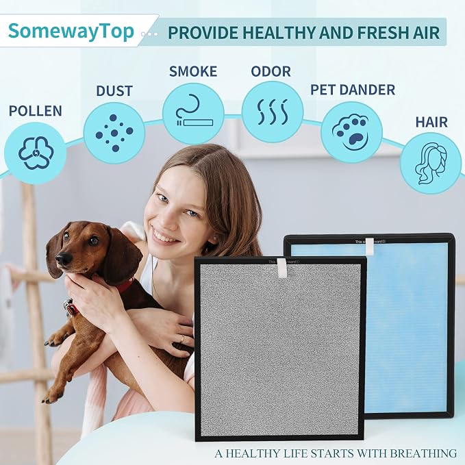 HSP001 Air Replacement Filter Set Compatible - Image 2