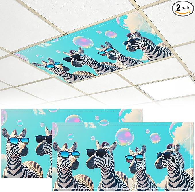 2 Pack Fluorescent Light Covers by BVBOX