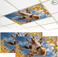 2 Pack Fluorescent Light Covers by BVBOX