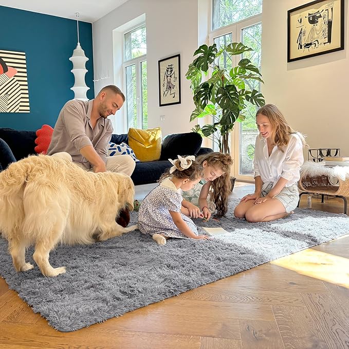 OLANLY 6x9 Machine Washable Large Area Rugs for Living Room, Bedroom, Soft Fluffy Shaggy Bedside Rug, Indoor Floor Carpet for Kids Girls and Boys, Dorms, Nursery, Home Decor Aesthetic, Light Grey