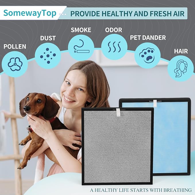 HSP001 Air Replacement Filter Set Compatible - Image 2