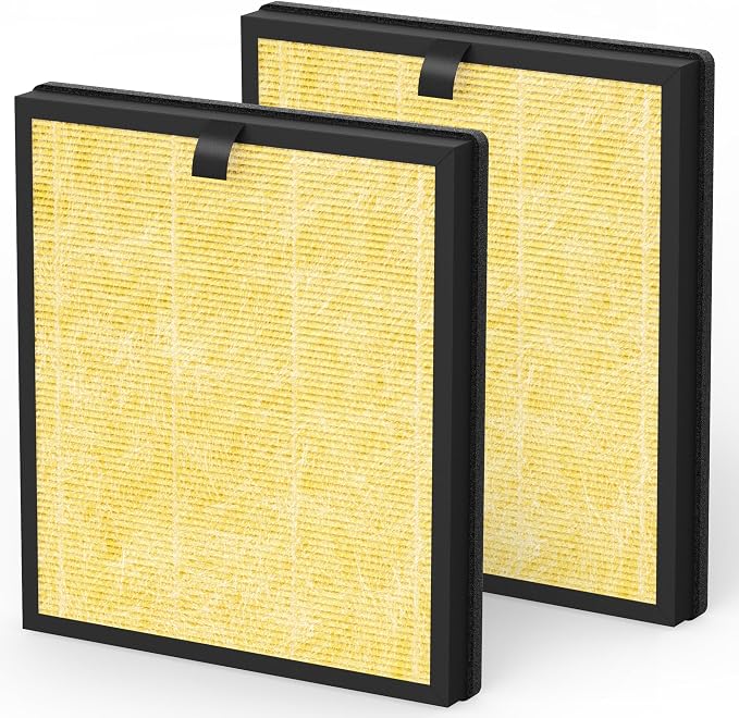 2 Packs Replacement Filter Compatible by XBWW
