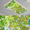 2PCS Maple Tree Magnetic Fluorescent Light Covers by Unknown