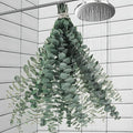 11 PCS Real Dried Eucalyptus Stem by Oning