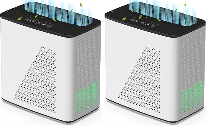 Air Purifier for Bedroom Home, Large Room Up to 547 Ft², H13 True HEPA Filter by YIOU