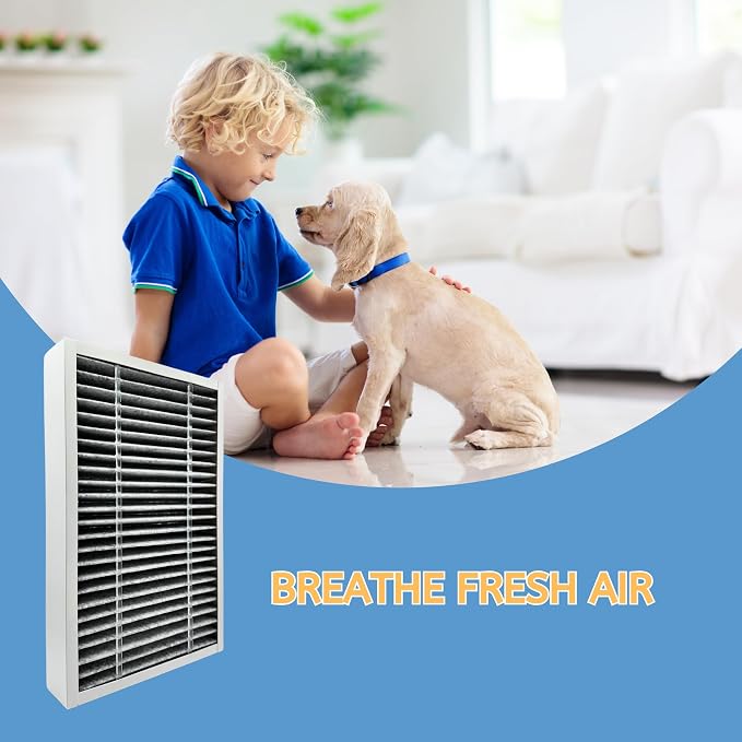 Nispira F1 C01 T02 Carbon Odor Reduction HEPA Filter Replacement - Image 5