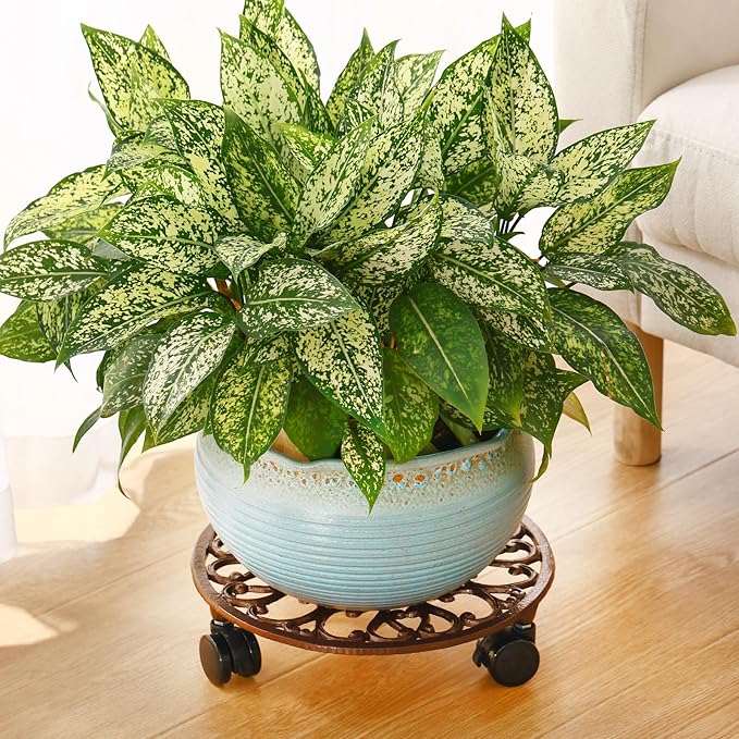 3 Packs 11 Inch Rolling Plant Stand - Image 7