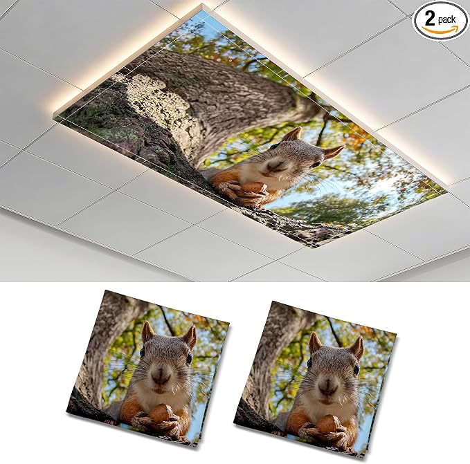 2 Pack Squirrel Eating Nut Decorative Ceiling Light Covers, Magnetic 4x2 Ft by AOHMPT