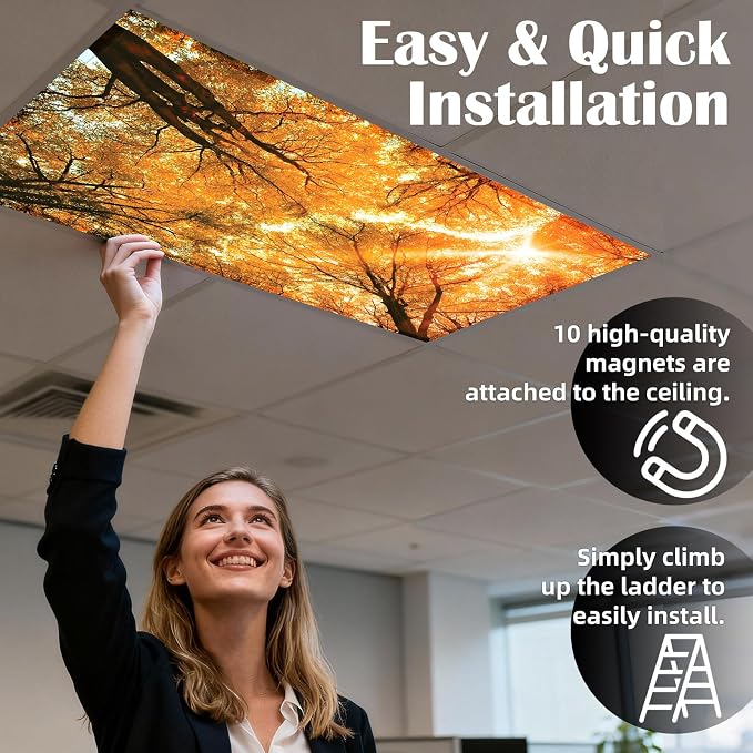 Fluorescent Light Covers - Image 3