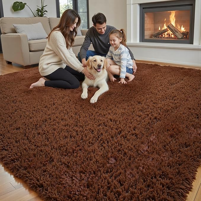 Area Rugs 9x12 Living Room, Shaggy Carpet Soft Plush Furry Bedside Rug Large Area Rugs for Bedroom Kids Girls Boys Home Decor Anti Slip(9 x 12, Coffee)
