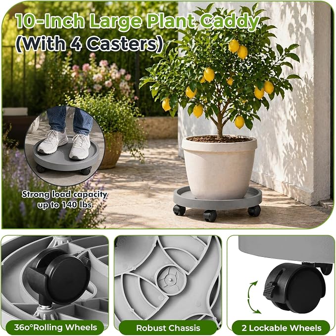 5 Pack Plant Caddy with Wheels Rolling Plant Stand with Wheels 10 Inch Plant - Image 4