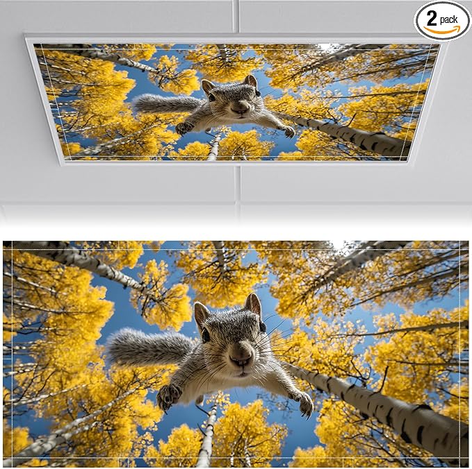2 Pack Fluorescent Light Covers 4x2 ft Magnetic Light Covers by seewan