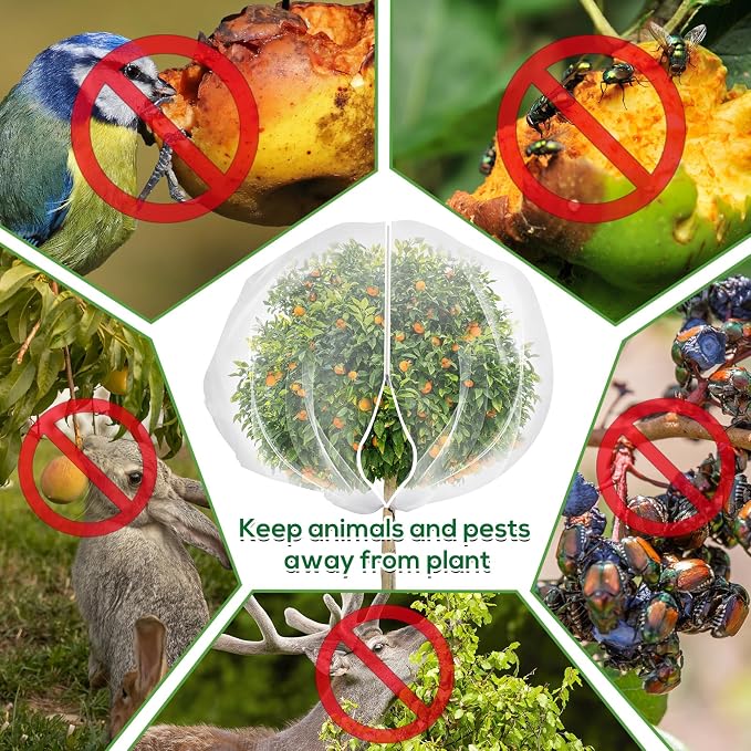 2PCS 7.8 x 7.8ft Large Fruit Tree Netting Cover - Image 4