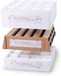 PureIllusion Scientifically Tested Filter Bundle by PureIllusion