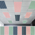 8Pcs Fluorescent Light Covers for Classroom Ceiling Lights, 4 x 2 Feet by Hallswl