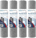 American Made, 5 Micron 2.5" x 10" Whole House CTO Carbon Sediment Water Filter by HealthySpring