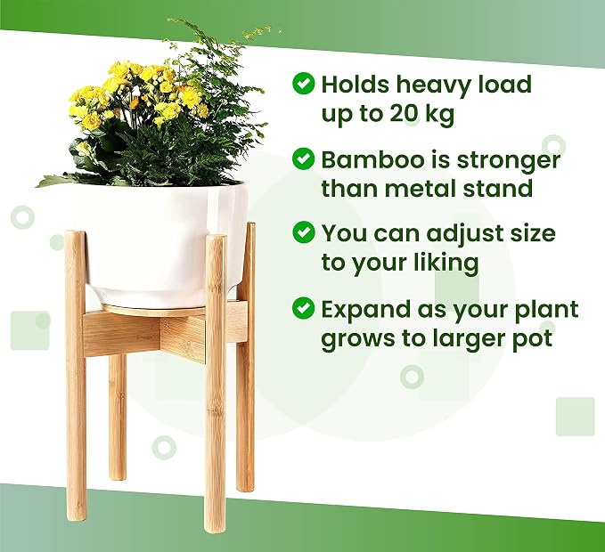 Plant Stand Indoor - Image 7