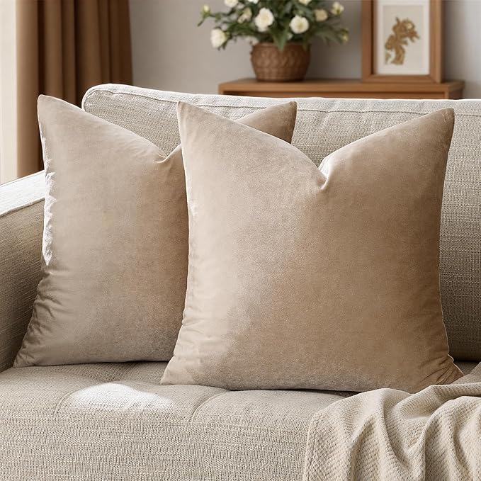 GIGIZAZA Decorative Couch Throw Pillow Covers,Set of 2 Taupe Square Pillow Cushion Covers 22x22 Velvet Pillowcase