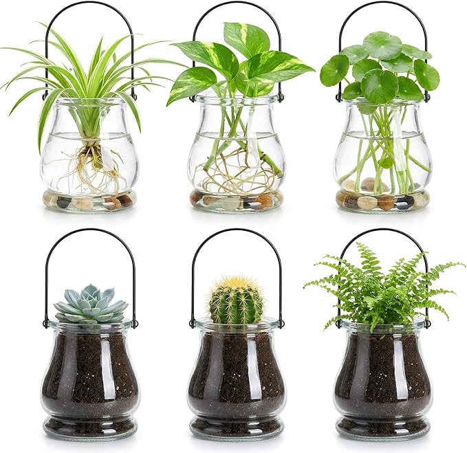 12-piece Set of Hanging Glass flowerpots, Indoor Plant wall-Mounted Propagation - Image 4