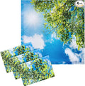 VIHOSE 4 Pcs 2 x 2 Feet Fluorescent Light Covers by VIHOSE