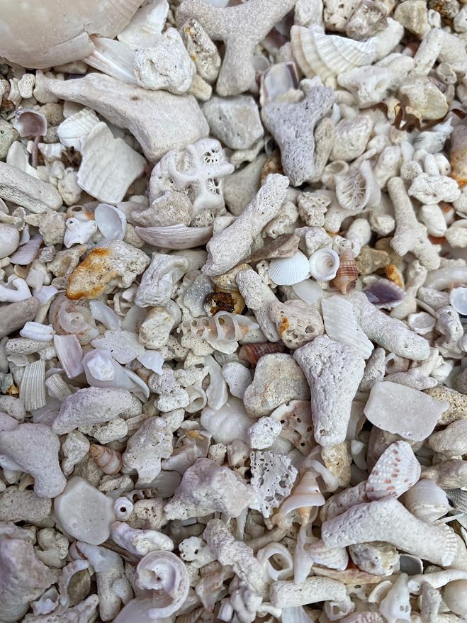 Middle Keys Marine Life LLC Florida Keys Crushed Coral Aquarium Gravel 2.5 LB - Image 4