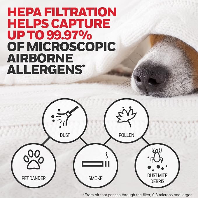 Honeywell Genuine HEPA Air Purifier Filter G, Airborne Allergen Air Filter - Image 4