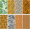 8Pcs Safari Animal Fluorescent Light Covers by Wiooffen