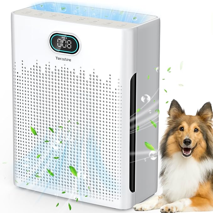 Air Purifiers for Home Cover Up to 2200 Ft², HEPA Air Purifier by Unknown