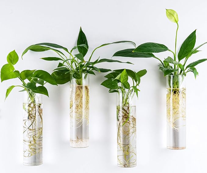 Kingbuy Wall-Mounted Plant Terrarium Propagation Station - Image 4