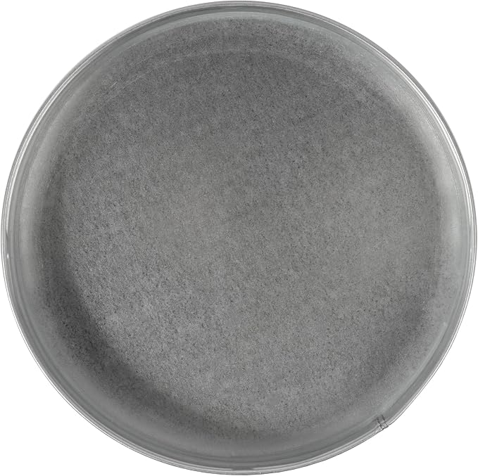 Repa Market 10 Inch Metal Tee Cap – Round Metal Duct Cap - Image 9