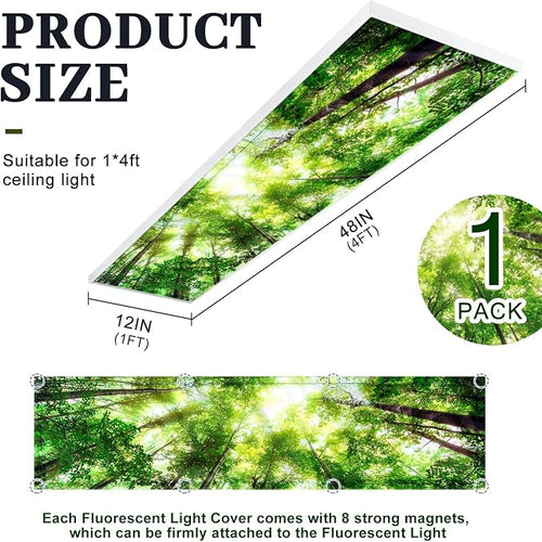 1 Pc 1 x 4 Feet Fluorescent Covers - Image 2