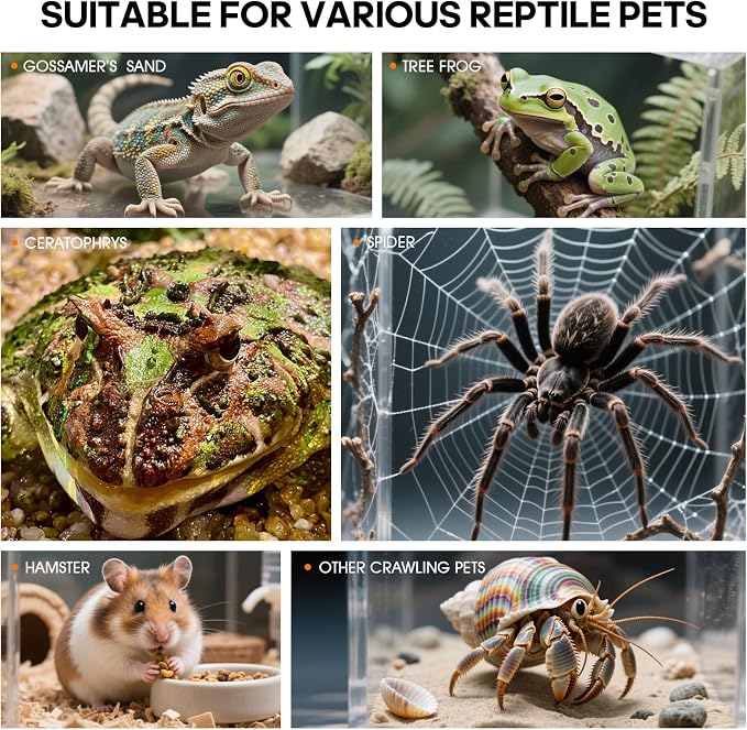MYGIIKAKA Jumping Spider Enclosure Accessories, Tarantula Spider Box, Bug Cage - Image 6