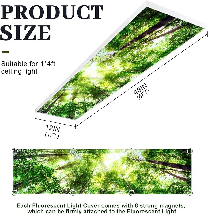 2 Pcs 1 x 4 Feet Fluorescent Covers - Image 2