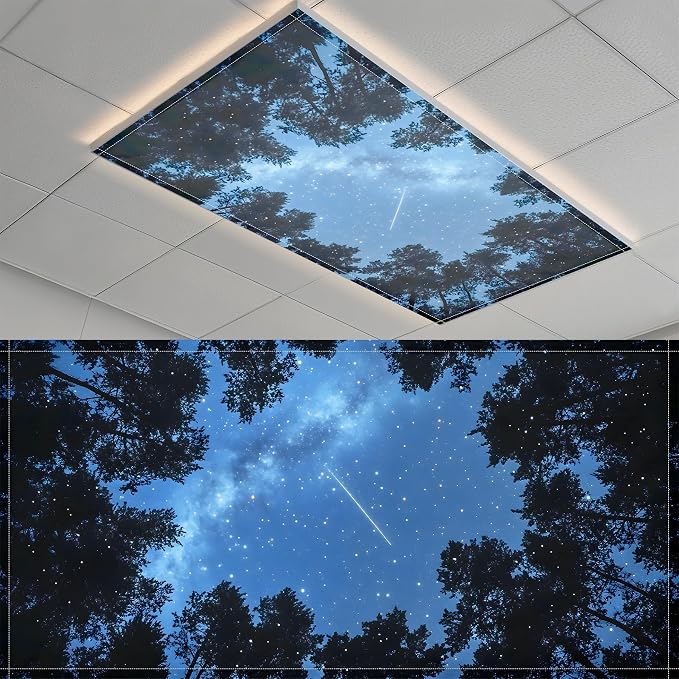 Fluorescent Light Covers-2 Pack 4 x 2 Feet Magnetic Ceiling Light Cover Room by BSFHH